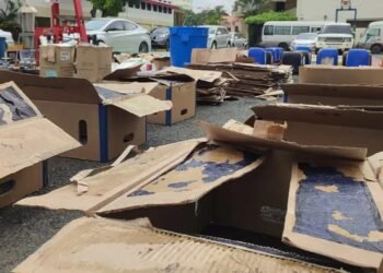 DNCD ocupa 392 láminas cocaína, armas y vehículos a tres hombres