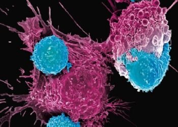 Inmunoterapia CAR-T ataca cáncer ovario en ratones con una dosis