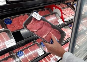 Brasil festeja apertura del mercado dominicano a sus carnes bovina y porcina