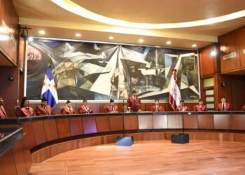 12 años y 12 sentencias que han marcado la constitucionalidad dominicana