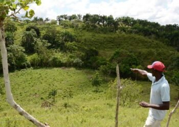 Abinader crea fideicomiso para vender o alquilar terrenos del CEA recuperados
