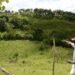 Abinader crea fideicomiso para vender o alquilar terrenos del CEA recuperados