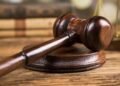 Agricultor condenado a pagar multa de 90 mil pesos por tala ilegal de pinos