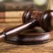 Agricultor condenado a pagar multa de 90 mil pesos por tala ilegal de pinos