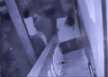 Hombre mata un perro a machetazos en Los Girasoles; exigen su apresamiento
