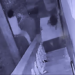 Hombre mata un perro a machetazos en Los Girasoles; exigen su apresamiento