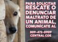 FEDDA, COE y Ministerio Público coordinan por primera vez en la RD una guía de prevención y rescate de mascotas durante Semana Santa