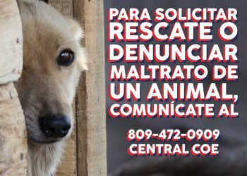 FEDDA, COE y Ministerio Público coordinan por primera vez en la RD una guía de prevención y rescate de mascotas durante Semana Santa