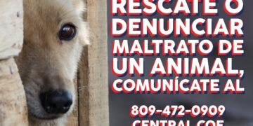 FEDDA, COE y Ministerio Público coordinan por primera vez en la RD una guía de prevención y rescate de mascotas durante Semana Santa