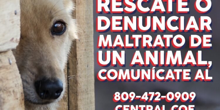 FEDDA, COE y Ministerio Público coordinan por primera vez en la RD una guía de prevención y rescate de mascotas durante Semana Santa