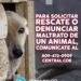 FEDDA, COE y Ministerio Público coordinan por primera vez en la RD una guía de prevención y rescate de mascotas durante Semana Santa