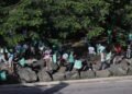 Fuerza del Pueblo no toma pausa en Semana Santa y realiza bandereos