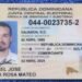 Hijo de Ex Senadora Sonia Mateo Entre los Detenidos en Operación Antidrogas