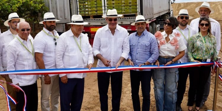 Presidente Abinader y Ministro Limber Cruz Inician Exportaciones de Uva Dominicana: Un Hito en la Agroindustria Nacional
