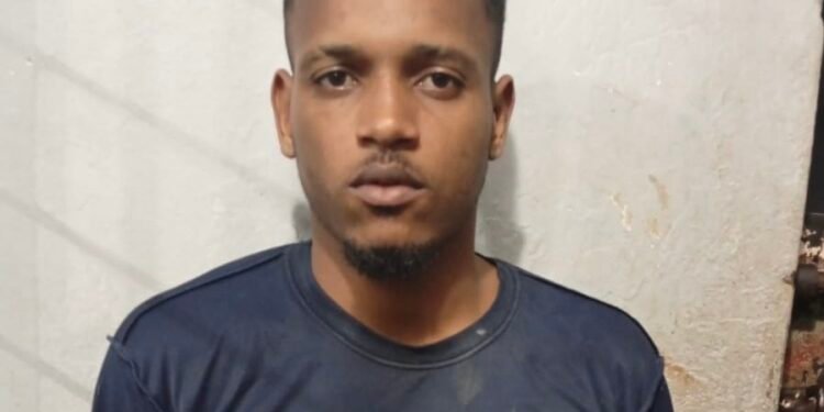 Apresan en Monte Plata a “El Menor”, buscado por violación a Ley de Armas