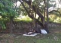 Denuncian abandono y ocupación irregular en el Parque Mirador Sur