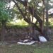 Denuncian abandono y ocupación irregular en el Parque Mirador Sur