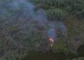 Destruyen humedales del Ozama para lucrarse: rellenan áreas protegidas y venden solares ilegales hasta por 350 mil pesos