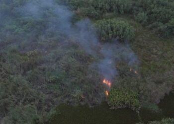 Destruyen humedales del Ozama para lucrarse: rellenan áreas protegidas y venden solares ilegales hasta por 350 mil pesos