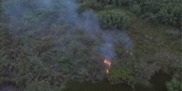 Destruyen humedales del Ozama para lucrarse: rellenan áreas protegidas y venden solares ilegales hasta por 350 mil pesos