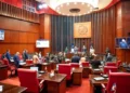 Nuevo Código Penal sin tres causales es aprobado por unanimidad en el Senado