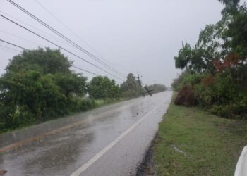 Edesur informa que tornado ocurrido en San Juan derriba nueve postes eléctricos y deja fuera de servicio dos subestaciones