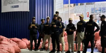 ‘Noguera Hermanos» y autoridades decomisan más de 61 mil artículos falsificados de Totto en RD
