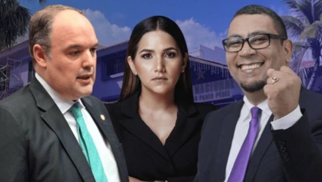 José del Castillo Saviñón, Charinee Ovalles y Luis Alberto Pelaez renuncian del PLD