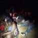Ejército captura a 42 haitianos indocumentados en intento de evasión en Montecristi