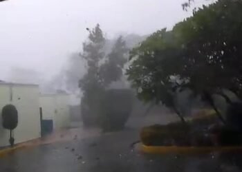 Fuertes vientos y lluvias provocan caída de árboles y tendido eléctrico en Dajabón