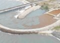 Unidad 1 de Punta Catalina salió de operación por obstrucción de sargazo