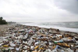 Plásticos afixian la playa Los Gringos en Haina
