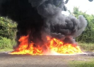El Inacif destruye más de dos toneladas de drogas en SD
