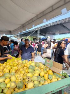 Feria del Mango en Baní rompe récord de asistencia en su segundo día
