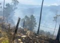 Autoridades de Medio Ambiente en Ocoa identifican a los causantes de incendios forestales
