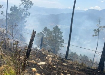 Autoridades de Medio Ambiente en Ocoa identifican a los causantes de incendios forestales