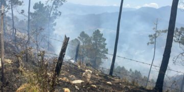 Autoridades de Medio Ambiente en Ocoa identifican a los causantes de incendios forestales