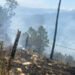 Autoridades de Medio Ambiente en Ocoa identifican a los causantes de incendios forestales