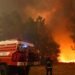 Incendios forestales azotan el sur de Europa y dejan cerca de 250 mil evacuados