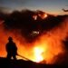 Las olas de calor extremo baten récords en varios países Europa
