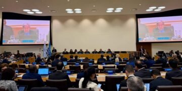 RD pide ante ONU más atención para los países en desarrollo