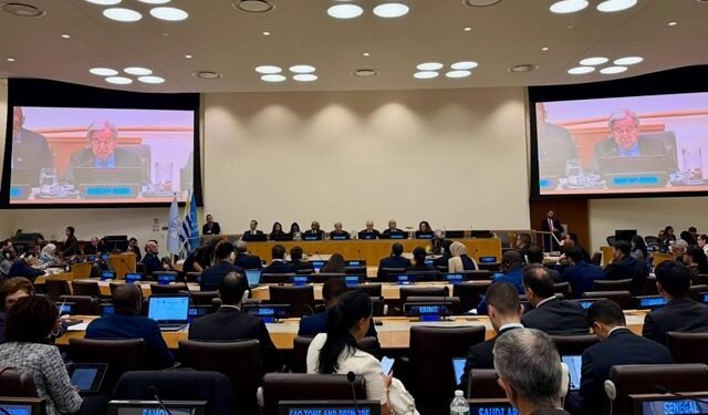 RD pide ante ONU más atención para los países en desarrollo