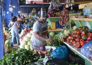Precios de los alimentos aumentan más de un 100% con el PRM, dice Leonel Fernández