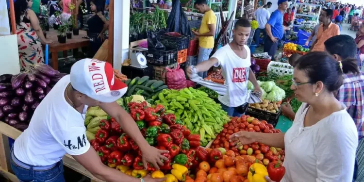 Alza de combustibles, resinas y fertilizantes presionan los precios de los alimentos