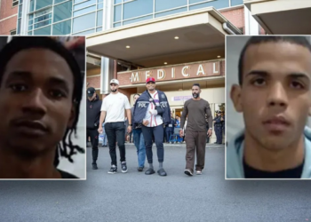 Capturan dominicanos habrían apuñalado detective en El Bronx