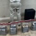 Arrestan a español con 20 paquetes de presunta cocaína en el aeropuerto de Punta Cana