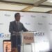 Con “diplomacia económica” buscará más inversión para RD