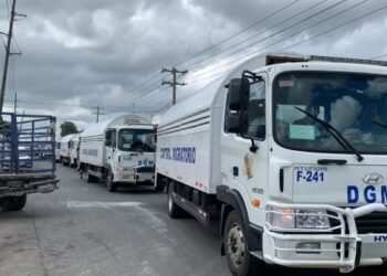 DGM anuncia operativos fincas contra contratación de ilegales
