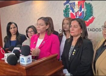 Diputados convocan vista pública para reformar la Ley de Discapacidad en República Dominicana