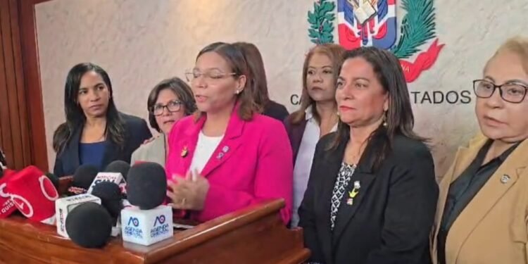 Diputados convocan vista pública para reformar la Ley de Discapacidad en República Dominicana